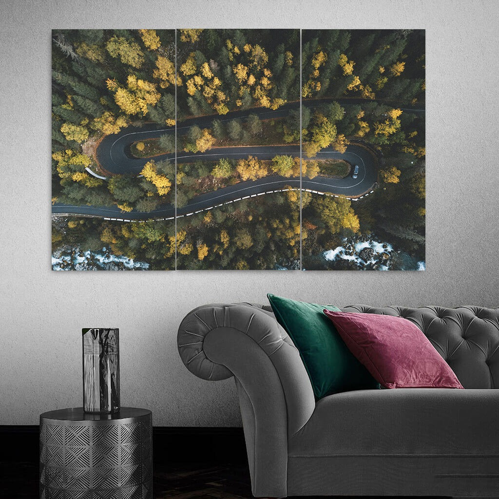 Forest road frame (3 Panel) Nature Wall Art